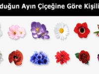 Doğduğun Ayın Çiçeği Kişiliğin Hakkında Neler Söylüyor? Tıkla ve sonucunu öğren