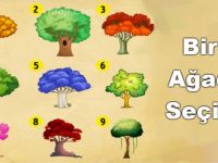 Sadece Bir Ağaç Seçin Ve Anlamını Okuyun! Bu Testle 2018’de Sizi Nelerin Beklediğini Öğreneceksiniz