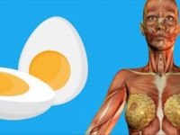 GÜNDE 2 YUMURTA YENDİĞİNDE VÜCUTTA BAKIN NELER OLUYOR