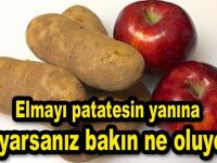 PATATESİN YANINA ELMA KOYDUĞUNUZDA BAKIN NE OLUYOR?