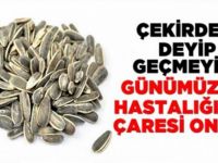 ÇEKİRDEK DEYİP GEÇMEYİN GÜNÜMÜZ HASTALIĞININ ŞİFASI ONDA!