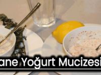 NANE YOĞURT MUCİZESİ