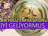 İDRAR YOLU ENFEKSİYONUNA BİREBİR