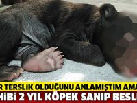 İKİ YIL KÖPEK SANARAK BESLEDİ! SONUNDA KORKUNÇ BAKIN ASLINDA NEYMİŞ