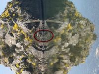 İZNİK GÖLÜNDE PAYLAŞIM REKORU KIRAN ESRARENGİZ GÖRÜNTÜ