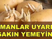 UZMANLAR UYARDI. FİLİZLENMİŞ PATATES YEMEYİN