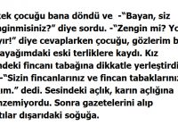 ZENGİN MİSİNİZ SİZ BAYAN?