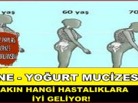 NANE YOĞURT MUCİZESİ