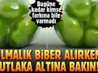 DOLMALIK BİBER ALIRKEN MUTLAKA ALTINA BAKIN! ŞOK OLACAKSINIZ