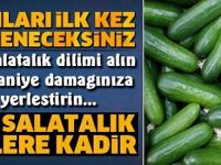 Salatalığın Müthiş Faydaları, Mutlaka Okuyun Bu Bilgileri İlk Kez Öğreneceksiniz
