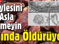 En tehlikeli virüs geri geldi: Hurmanın Böylesini Asla Yemeyin...