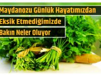 MAYDANOZU GÜNLÜK HAYATIMIZDAN EKSİK ETMEDİĞİMİZDE BAKIN NELER OLUYOR