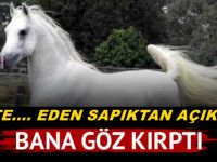 ATA T.... EDEN S*PIĞIN SAVUNMASI ŞOKE ETTİ: BANA GÖZ KIRPMIŞTI...