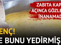 İĞRENÇ GÖRÜNTÜ, BİZE BUNLARI YEDİRMİŞLER !