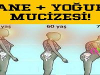 Nane ve Yoğurt Mucizesi