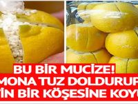 ODANIZA, ÜZERİNE TUZ SERPİLMİŞ LİMON KOYUN BU İNANILMAZ FAYDALARI BİZZAT TANIK OLUN