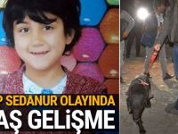 Kayıp Sedanur olayında gelişme!