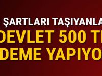 Bu şartları taşıyanlara devlet 500 TL ödeme yapıyor!