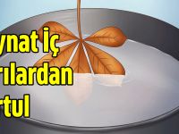 Kireçlenmeye Karşı Doğal Mucize (Sonuçları Çok Başarılı)