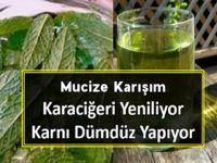 Bu Karışımla Göbeği Dümdüz Yapın