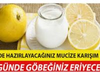 Göbekteki Şişkinliği ve Fazla Kiloları Yok Eden Kürler