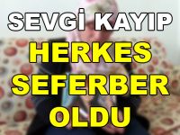 Sevgi Kayıp. Herkes Seferber Oldu.