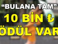 Bulana 10 Bin TL Ödül Var. Herkes Seferber Oldu