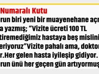 7 Numaralı Kutu