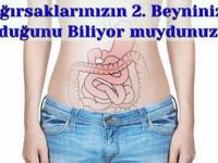 Bağırsaklarınızın 2. Beyniniz Olduğunu Biliyor muydunuz?