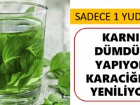 Karaciğerinizi yenilemeye göbeği dümdüz yapmaya sadece 1 yudumu yetiyor
