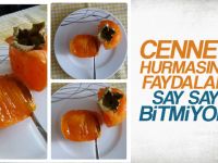 Cennet Hurması Faydaları