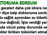 Doktoruma Sordum