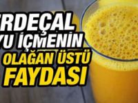Zerdeçal Suyu İçmenin 8 Harika Faydası