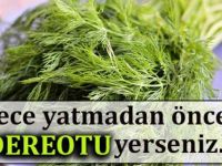 Gece yatmadan önce dereotu yerseniz o dermansız denen derdiniz son buluyor