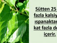 Ucuz ( Bedava ) olduğu için, reklamı yapılmadığından bilinmiyor