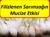 Bu bilgilerden sonra asla çöpe atmayacaksınız..!