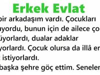 Erkek Evlat