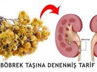 Böbrek Taşında Denenmiş Tarif