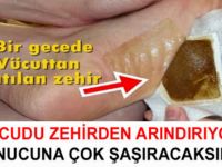 Vücudunuzdaki Z-ehri 1 G-ecede Atmak İçin D-etoks Tarifi