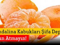 Mandalina Kabukları Şifa Deposu Sakın Atmayın
