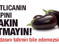 Doğa her bitkisinde insanlığa faydalı bir iksir de veriyor. İşte bunlardan biri de patlıcanın sapı