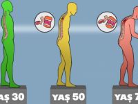 Yıllar Geçtikçe Güçsüzleşen Kemiklerinizin Eski Sağlığına Kavuşmasını Sağlayan İpuçları