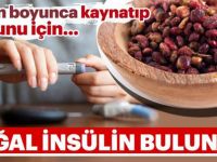 7 Gün Boyunca Kaynatıp Suyunu İçin