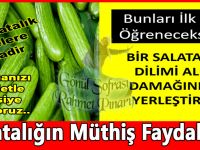 Salatalığın Müthiş Faydaları.. Bu Bilgileri İlk Kez Öğreneceksiniz..