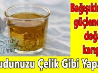 Bağışıklığınızı güçlendiren doğal karışım ..Vücudunuzu Çelik Gibi Yapacak