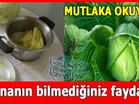 Lahananın bilmediğiniz faydaları!