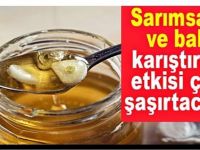 7 gün boyunca aç karnına sarımsak ve bal yediğinizde…