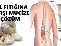 TAŞKÖPRÜ SARIMSAĞI ve ZEYTİNYAĞI KÜRÜ