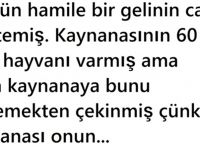 Hamile Gelinin canı et istemiş