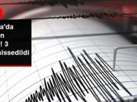 Marmara yine sallandı! Korkutan Deprem